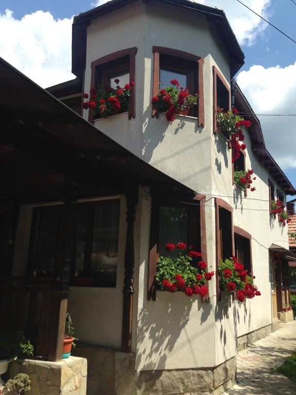 Pensiunea Casa Bianca - Bucovina Vama  Esterno foto